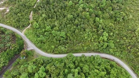 Aerial view of a winding road through dense green forest landscape. Stock Footage 337016744