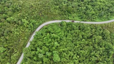 Aerial view of a winding road through dense green forest landscape. Stock Footage 337016745