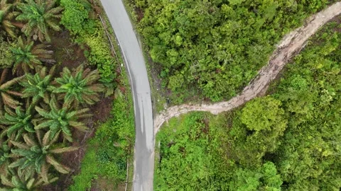 Aerial view of a winding road through dense green forest landscape. Stock Footage 337016868