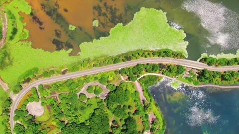 Aerial view of a winding road through a lush green park and lake Stock Footage 342215269