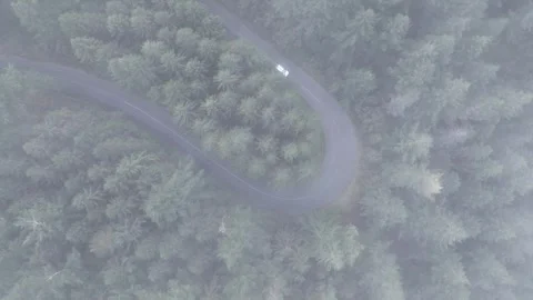 Aerial view of winding road through trees and forest, Portugal. Stock Footage 345232870