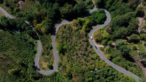 Aerial view of a winding road through a forest in Germany. Stock Footage 345419734