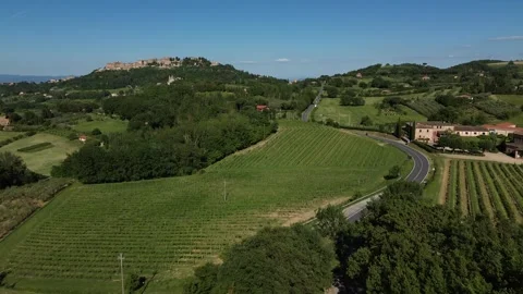 Aerial View of Winding Road Through Tuscan Vineyards Near Montepulciano Stock Footage 345498442