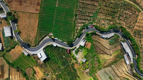 Aerial view of winding road through terraced farmland, Indonesia. Stock Footage 346659249