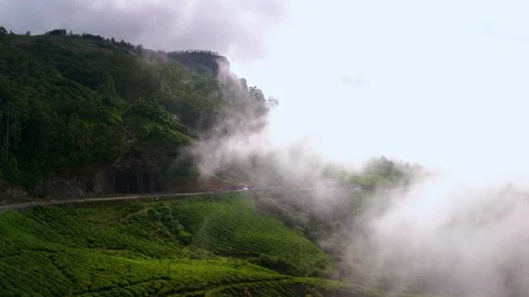 Aerial View of Winding Roads in Munnar Covered by Low Clouds Stock Footage 341311376
