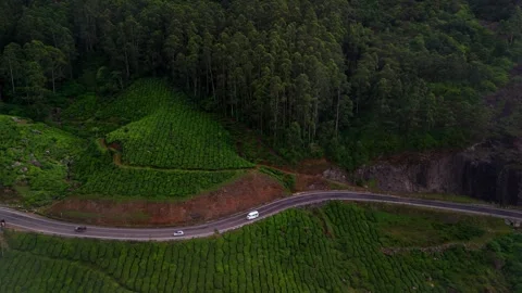 Aerial View of Winding Roads in Munnar Passing Through Lush Crop Fields Stock Footage 341311393
