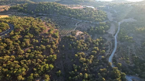 Aerial view of winding roads through lush green hills at sunset Stock Footage 290087084