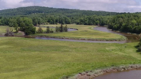 Aerial View of Winding Streams Stock Footage 95561224