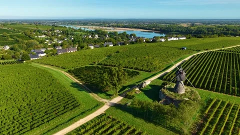 Aerial View on Windmill surrounded by Vineyards in Montsoreau France Video stock 318883553