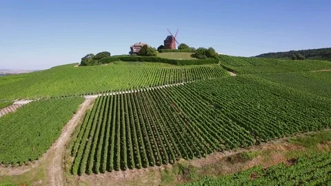 Aerial view of windmill of Verzenay Video stock 71794656