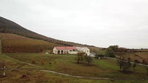 Aerial view of a winery 動画素材 120418279