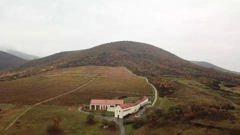 Aerial view of a winery Stock Footage 120418335