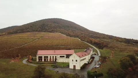 Aerial view of a winery Stock Footage 120418381