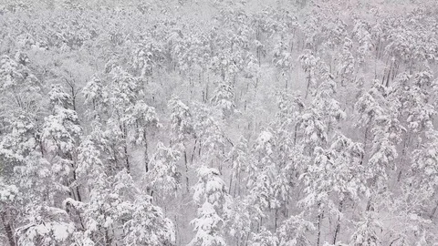Aerial view of the winter background with a snow-covered forest and lake from Stock Footage 99836603