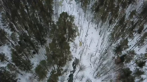 Aerial view on winter bog in the middle of snowy forest. Bird eye view on winter Stock Footage 90131608