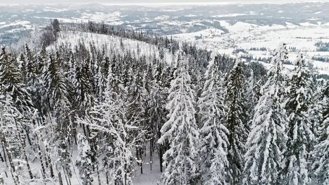 Aerial view of winter Carpathians Stock Footage 71978443