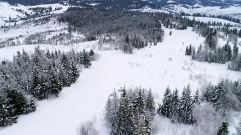 Aerial view of winter Carpathians Stock Footage 73600751