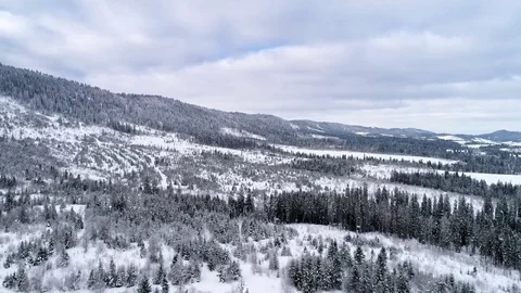 Aerial view of winter Carpathians Stock Footage 73601005