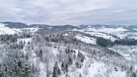Aerial view of winter Carpathians Stock Footage 73602096