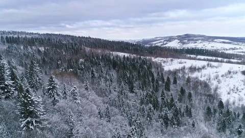 Aerial view of winter Carpathians Stock Footage 73603958