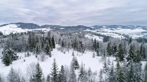 Aerial view of winter Carpathians Stock Footage 73604624