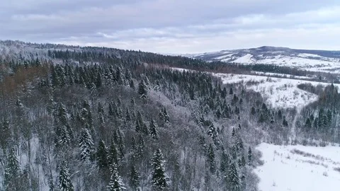 Aerial view of winter Carpathians Stock Footage 73605619