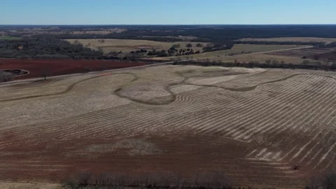 Aerial View of Winter Crop Rows and Rolling Oklahoma Farmland Landscape Stock Footage 329191923
