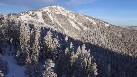 Aerial View Of A Winter Forest And Mountain Stock Footage 70254201