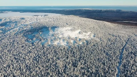 Aerial view of winter forest and little plot covered by snow. Footage. Beautiful Vídeos de archivo 103116264