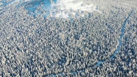 Aerial view of winter forest and little plot covered by snow. Footage. Beautiful Vídeos de archivo 103116288