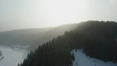 Aerial view of the winter forest and the sun snow flying into the camera Stock Footage 150654148