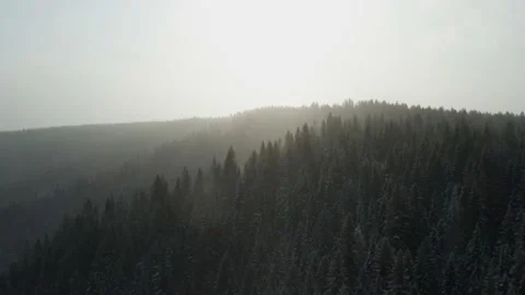 Aerial view of the winter forest and the sun snow flying into the camera Stock-Footage 150655712