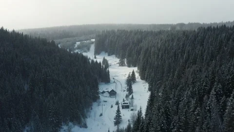 Aerial view of the winter forest and the sun snow flying into the camera Stock Footage 150657201