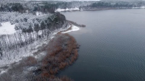 Aerial view of the winter forest and lake, 4k Video stock 233604996