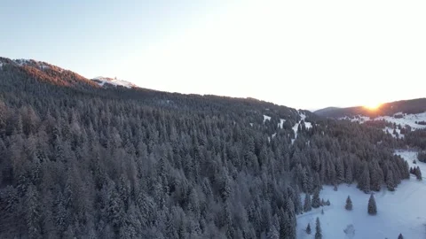 Aerial view of winter forest and mountains at sunset, Switzerland. Stock Footage 303970657