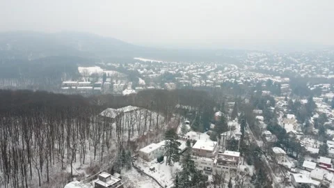 Aerial view of winter forest and residential area on hills of Vienna 스톡 동영상 330129192