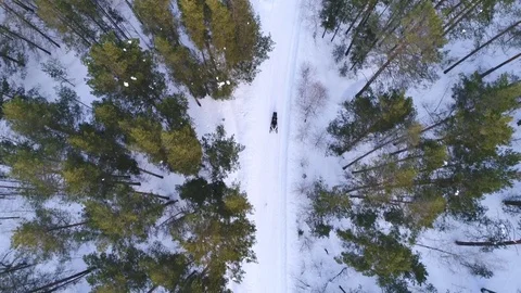 Aerial view of winter forest covered in snow. drone photography Stock Footage 76451019