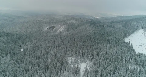 Aerial view of winter forest covered in snow.  - dron 4K footage Stock Footage 125519077
