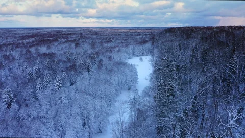 Aerial view of winter forest covered in snow in Europe. Stock Footage 208880322