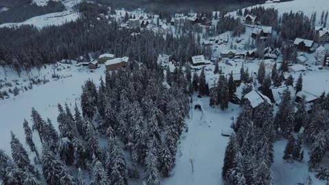 Aerial view of winter forest covered in snow near the small mountain village Video stock 264985849