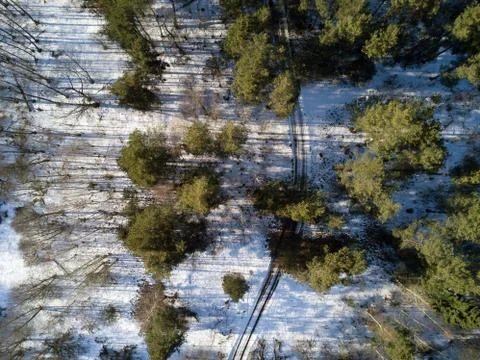 Aerial view of winter forest covered in snow. Drone photography. Stock Photos