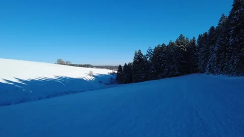 Aerial view of winter forest edge and countryside Stock Footage 325208541