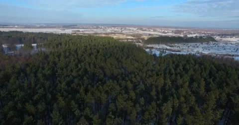 Aerial view of winter forest Stock Footage 61865488