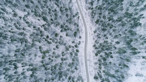 Aerial view winter forest Stock-Footage 84856354