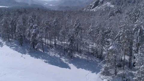 Aerial view of winter forest Stock Footage 88147069