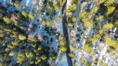 Aerial view of the winter forest Video stock 104212829