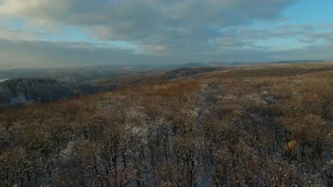 Aerial view of winter forest Video stock 148038729