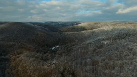 Aerial view of winter forest Stock Footage 148038993