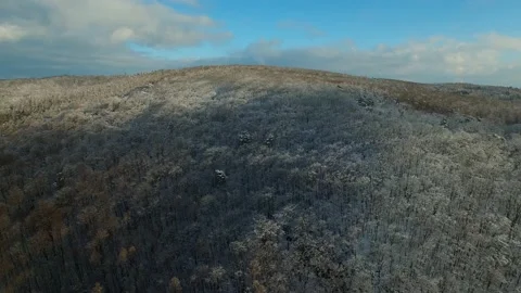 Aerial view of winter forest Video stock 148039047