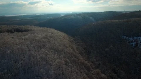 Aerial view of winter forest Video stock 148039257